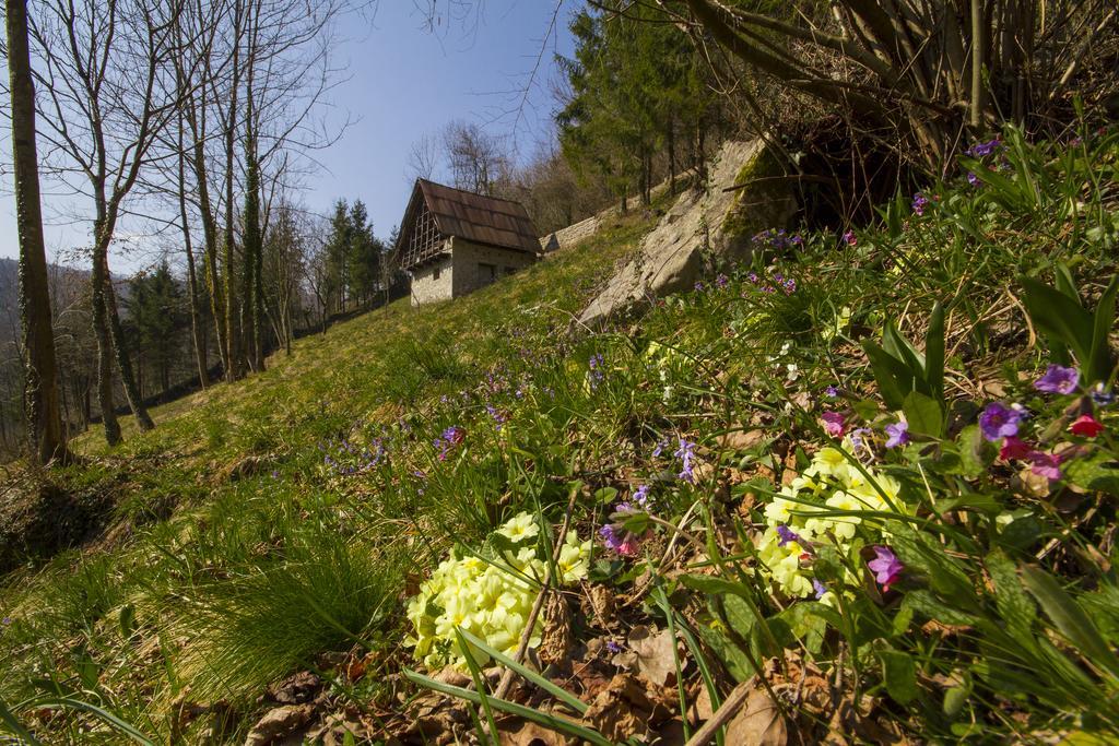 Casa Delle Noci Villa Grimacco Стая снимка